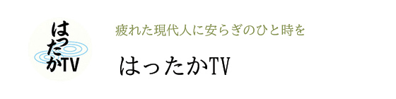 はったかTV